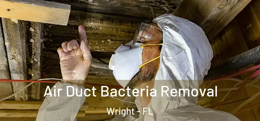  Air Duct Bacteria Removal Wright - FL