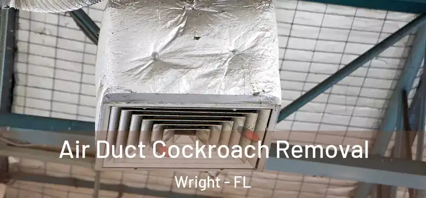  Air Duct Cockroach Removal Wright - FL