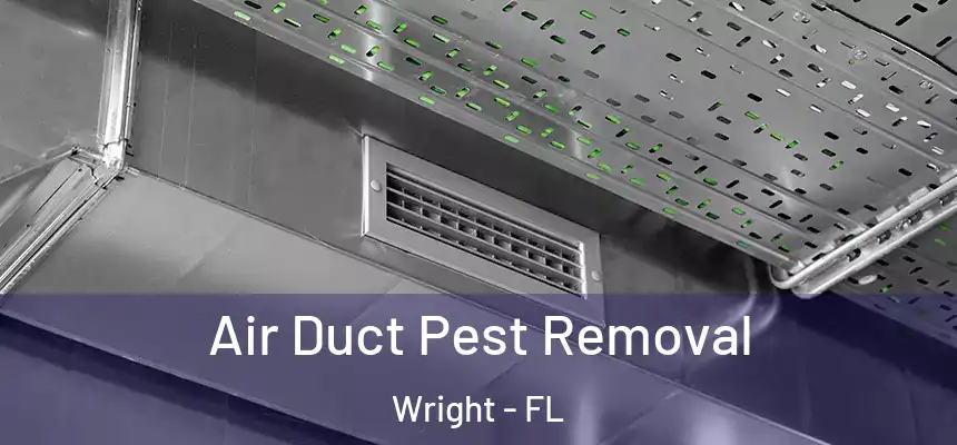  Air Duct Pest Removal Wright - FL