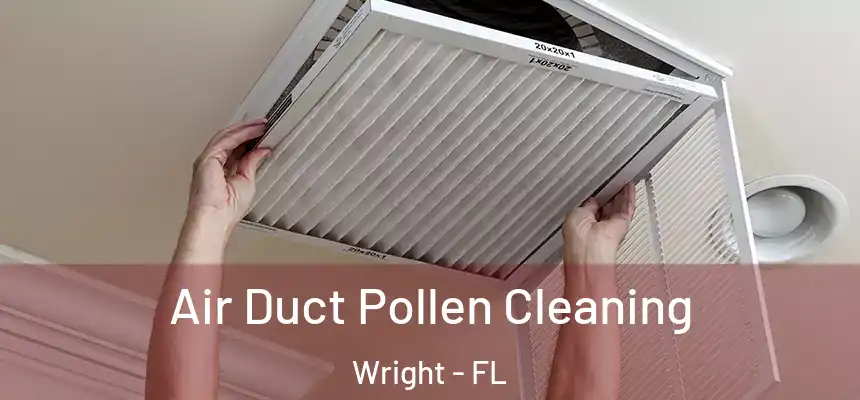  Air Duct Pollen Cleaning Wright - FL