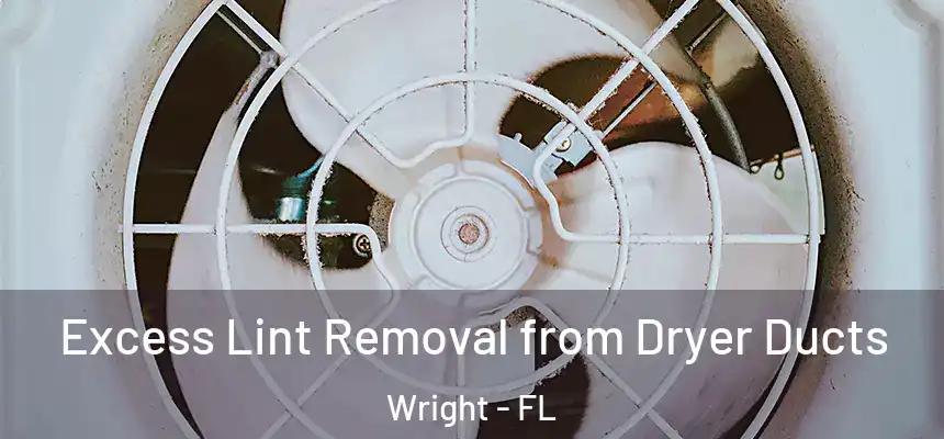 Excess Lint Removal from Dryer Ducts Wright - FL