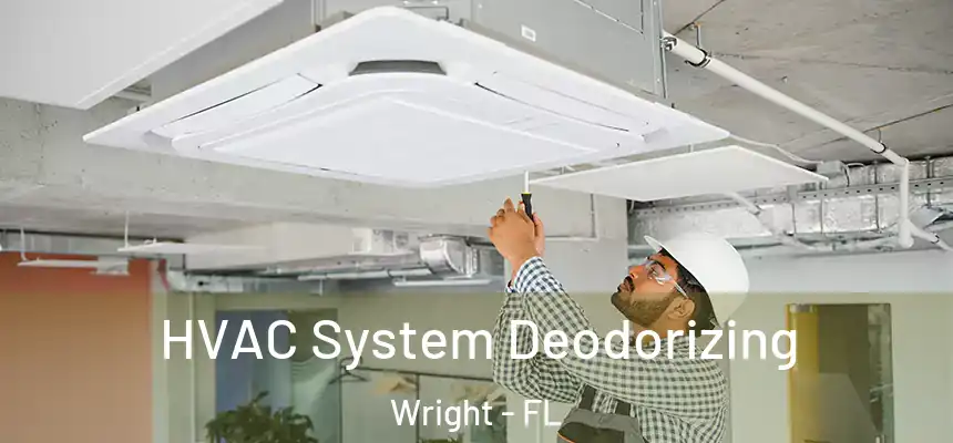 HVAC System Deodorizing Wright - FL