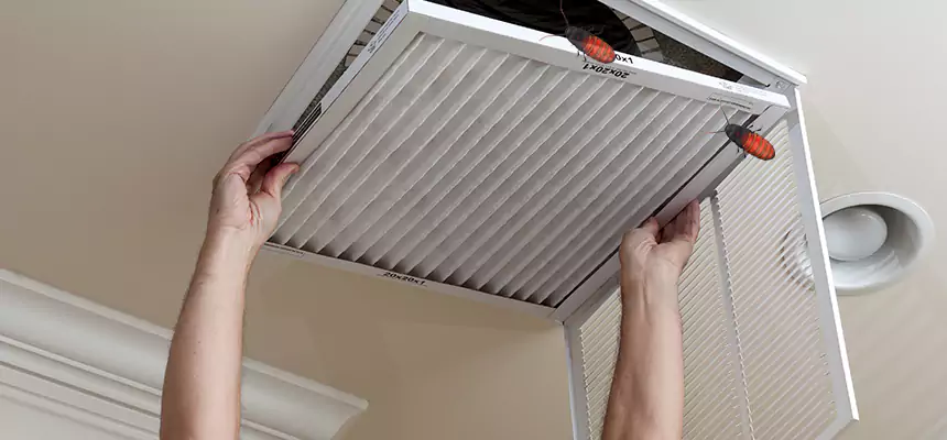 Preventive Cockroach-Proofing for Ducts in Wright