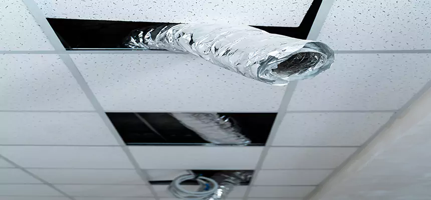 Our Air Duct Pet Hair Removal Services in Wright, FL