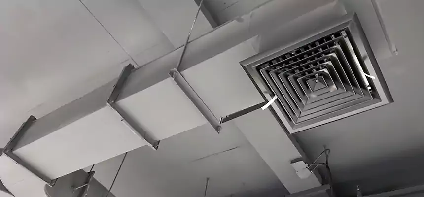 Restorative Allergy Relief Vent Cleaning – Coil, Blower & Housing Detail in Wright