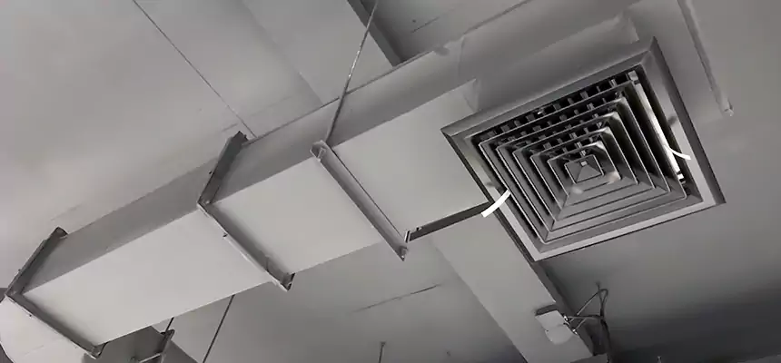 Our Pest Removal From Ducts Services in Wright, FL