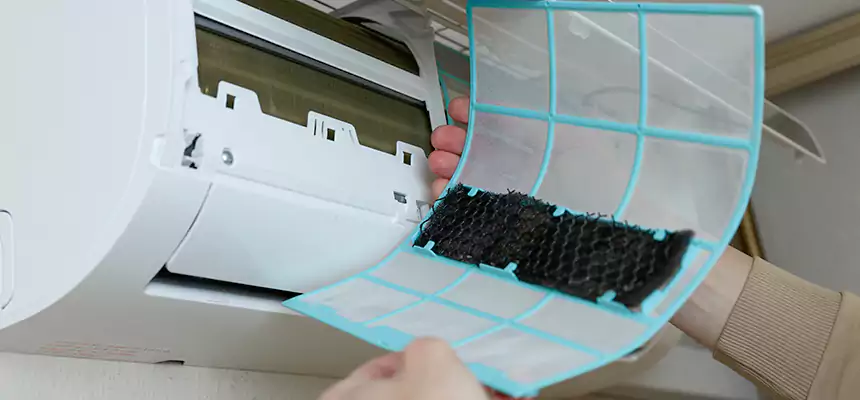 Gentle Ductwork Odor-Control Pet Dander Duct Cleaning in Wright, FL