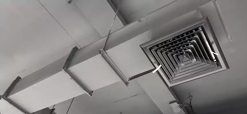 Our Rodent Droppings In Vents Services in Wright, FL