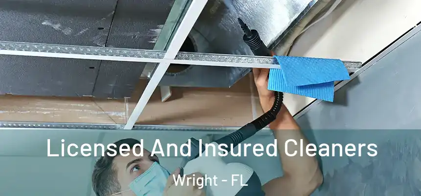  Licensed And Insured Cleaners Wright - FL