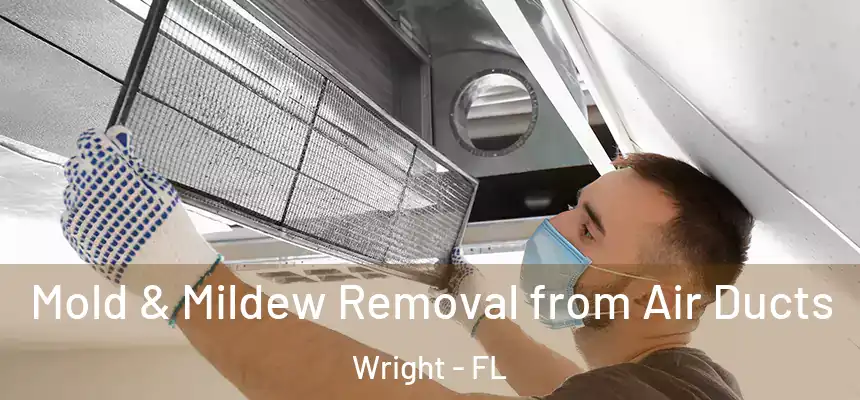  Mold & Mildew Removal from Air Ducts Wright - FL