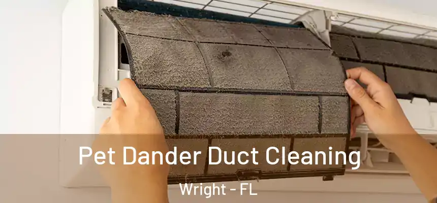  Pet Dander Duct Cleaning Wright - FL