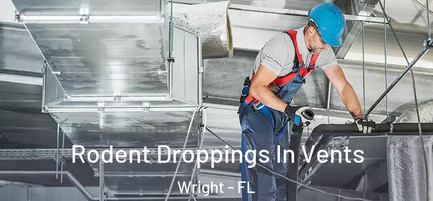  Rodent Droppings In Vents Wright - FL