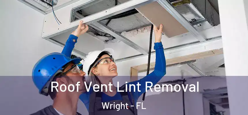  Roof Vent Lint Removal Wright - FL