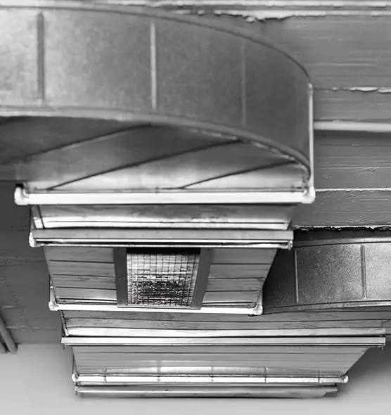 Professional Air Duct Pet Hair Removal in Wright, FL