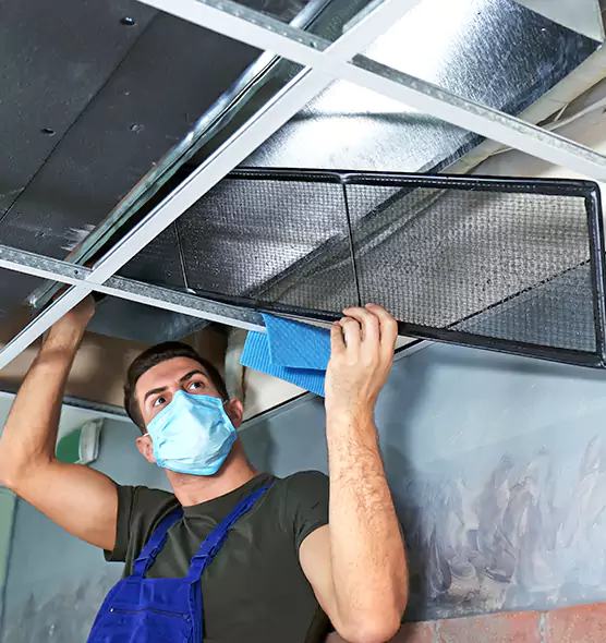 Professional Air Duct Pollen Cleaning in Wright, FL