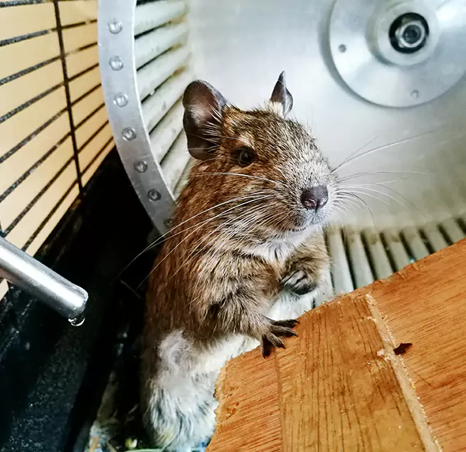 Why Homeowners & Businesses Trust Us Wright, FL?